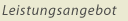 Leistungsangebot